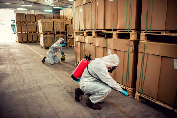 Best Cockroach Control Services  in Cottonwood, AZ