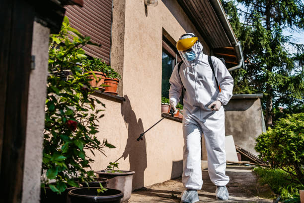 Best Best Pest Control Companies  in Cottonwood, AZ