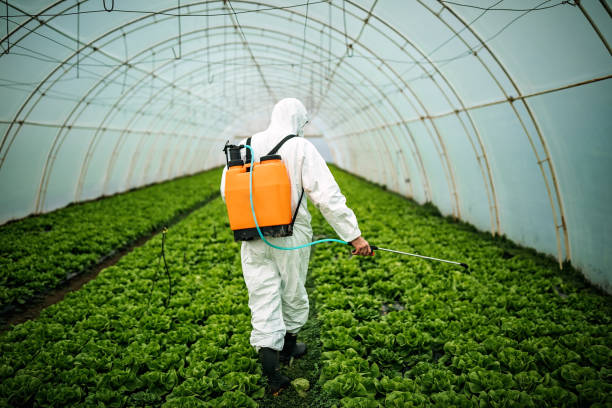 Pest Control Cost in Cottonwood, AZ