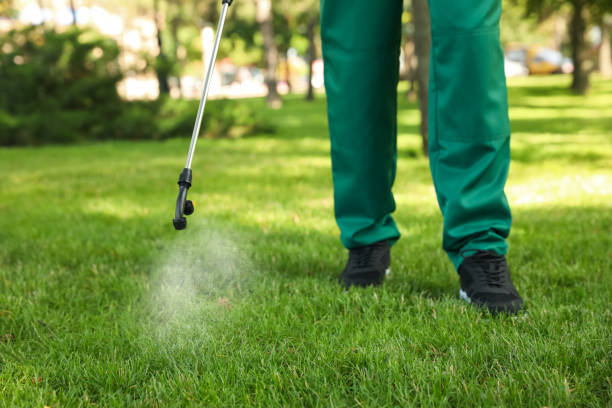 Best Wasp Removal Services  in Cottonwood, AZ
